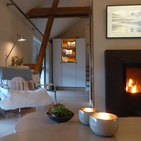 De Ole -swalbennest Apartmán *