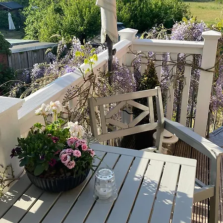 De Ole -swalbennest *