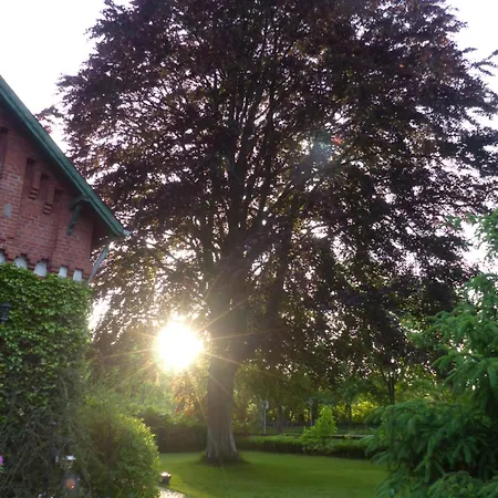 De Ole -swalbennest Lutjenholm